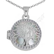 gyogyszertarto_nyithato_ezust_medal_heim_ekszer_webaruhaz_217886489