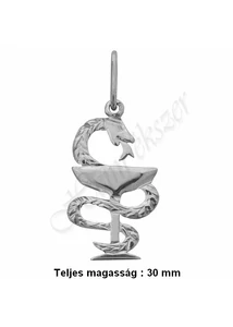 gyogyszeresz_medal_kehelyre_tekeredo_kigyo_heim_ekszer_webaruhaz