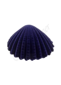 Kagyló diszdobor, Heim Ékszer webáruház