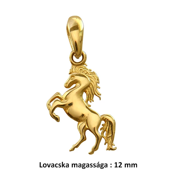 pici-lovacska-medal-arany-heim-ekszer-webaruhaz