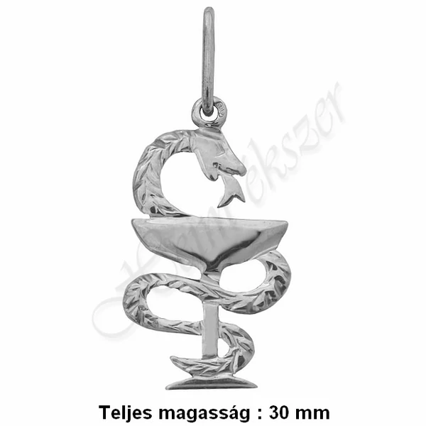 gyogyszeresz_medal_kehelyre_tekeredo_kigyo_heim_ekszer_webaruhaz