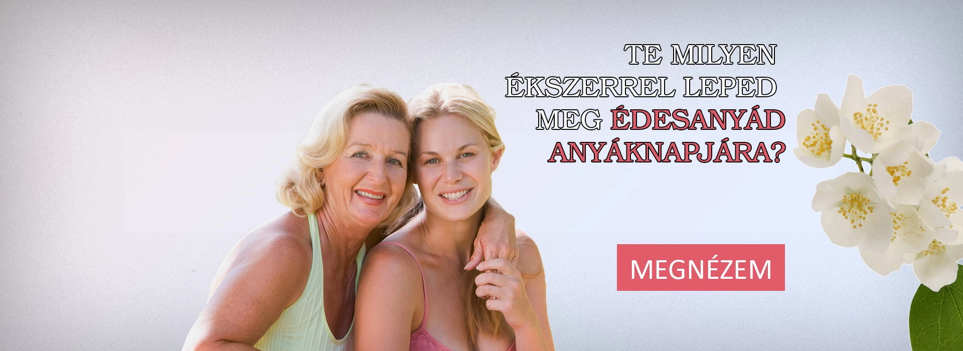 Any&aacute;knapi &eacute;kszer aj&aacute;nlatok